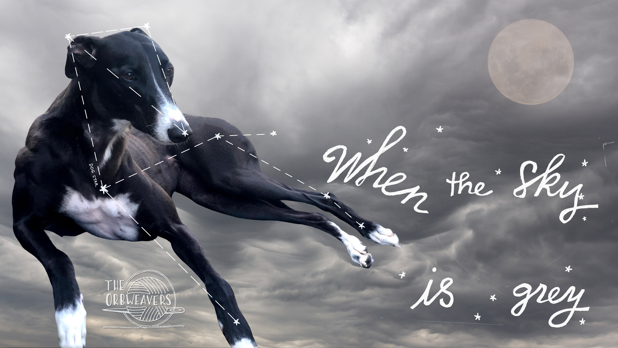 When the Sky is Grey: Canis Major with Susie the Greyhound